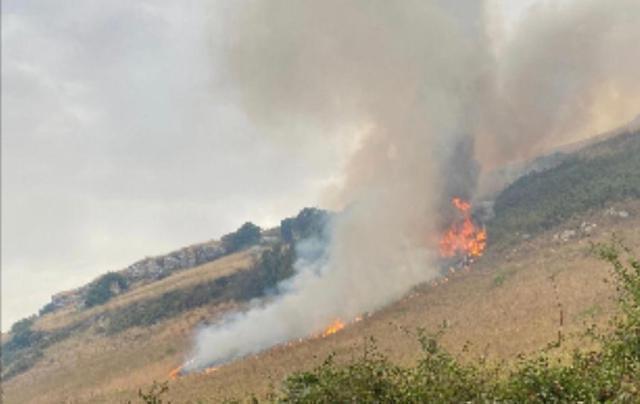 Curcio: Regioni prevengano incendi