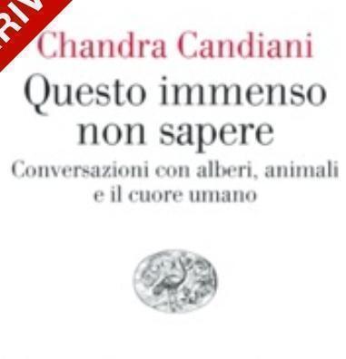 Questo immenso non sapere di Chandra Candiani