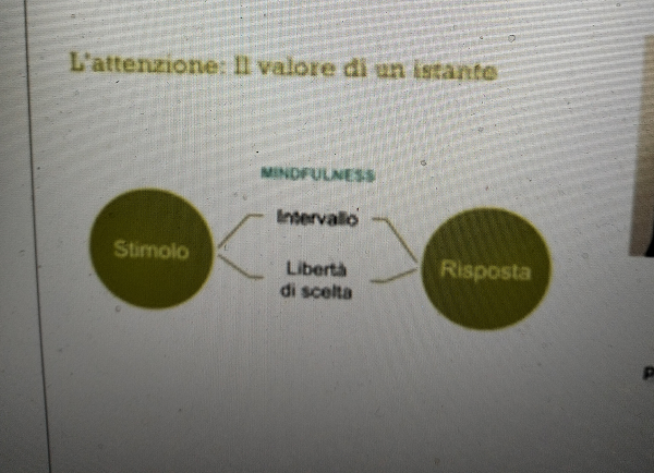 Intervallo: lo spazio tra stimolo e reazione